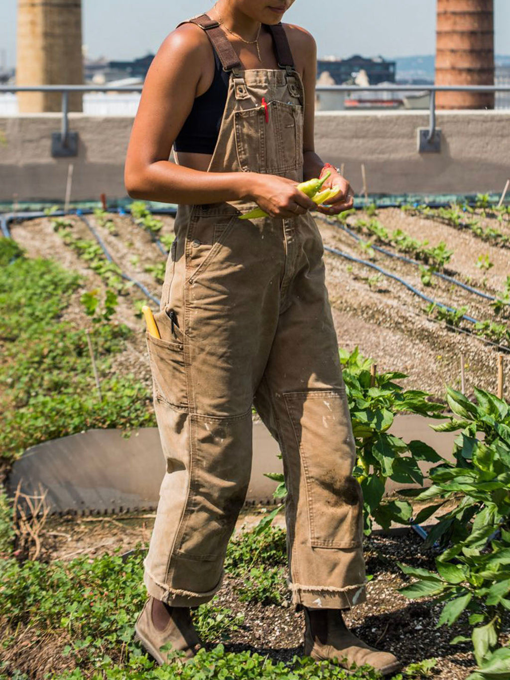 Women’s Cargo Jumpsuit | Straight Leg and Pockets